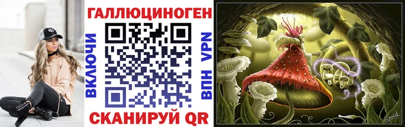 Псилоцибиновые грибы Psilocybine cubensis  Ладушкин 